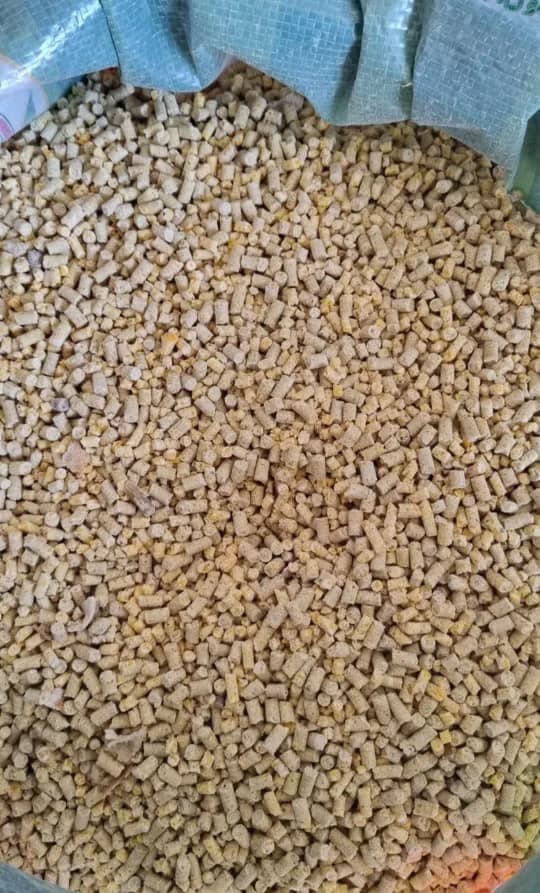 فروش خوراک دام بیگی در کرمانشاه