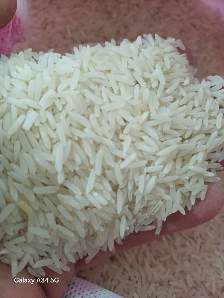 پخش مستقیم برنج هاشمی و طارم بازرگانی مهر ماندگار در غرب تهران