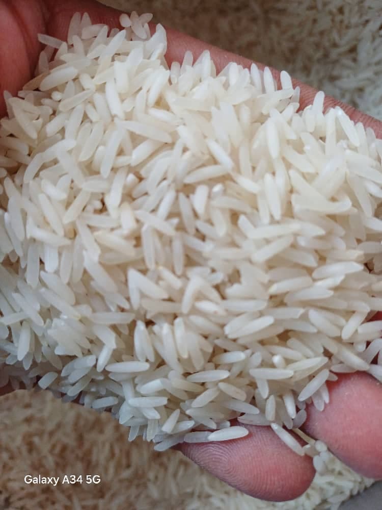 پخش مستقیم برنج هاشمی و طارم بازرگانی مهر ماندگار در غرب تهران