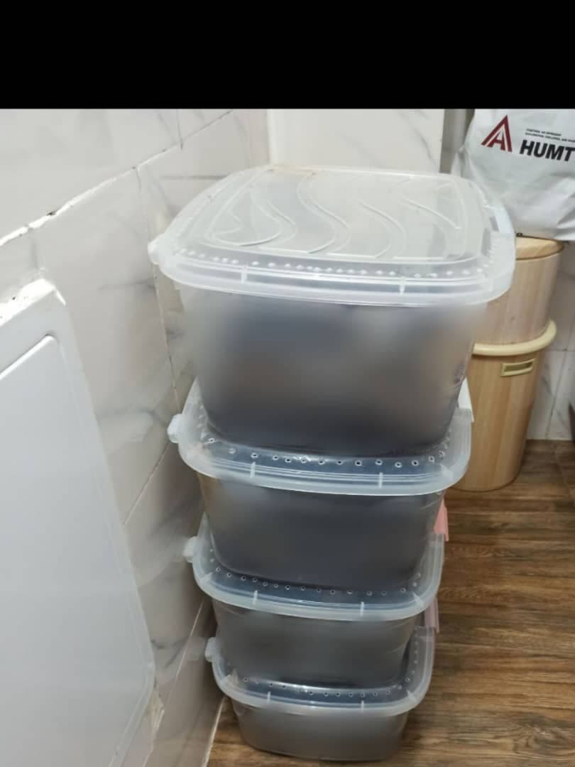 کار در منزل پرورش حلزون فادر فارم در کرج