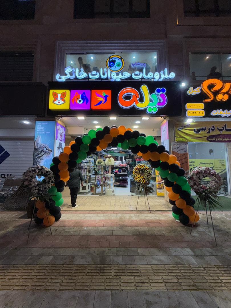 پت شاپ تیله در معلم رشت