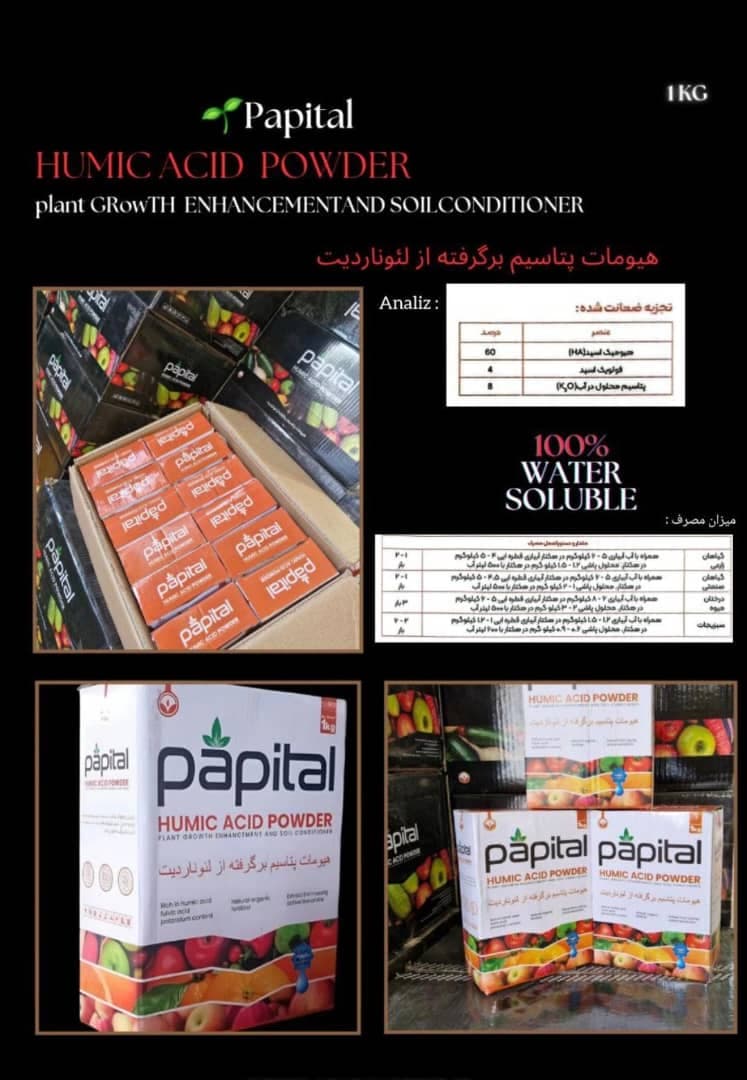 پخش عمده روغن ولک زمستانه آذر سبزینه رشد آسیا در ساری