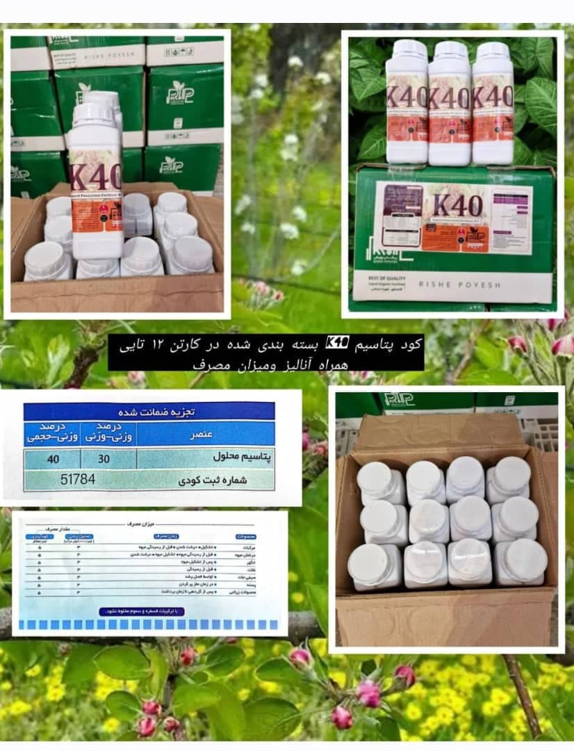 پخش عمده روغن ولک زمستانه آذر سبزینه رشد آسیا در ساری