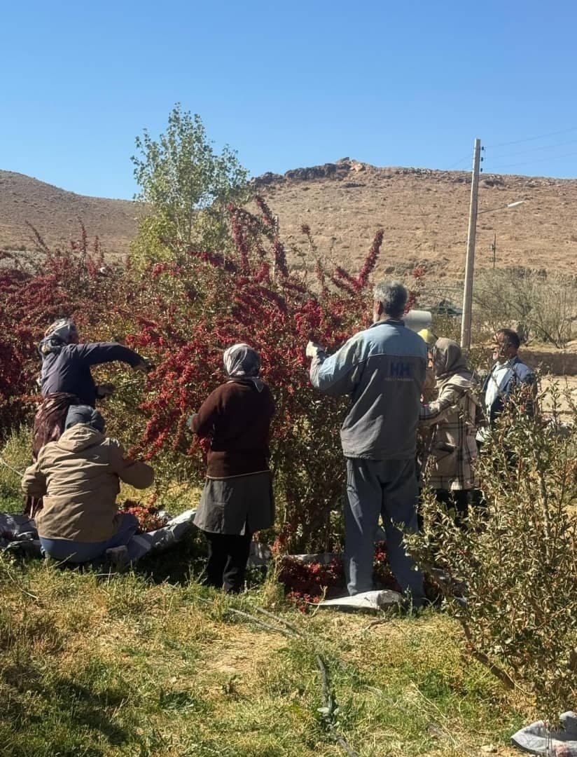 اقامتگاه بوم گردی خوشینه در بیرجند