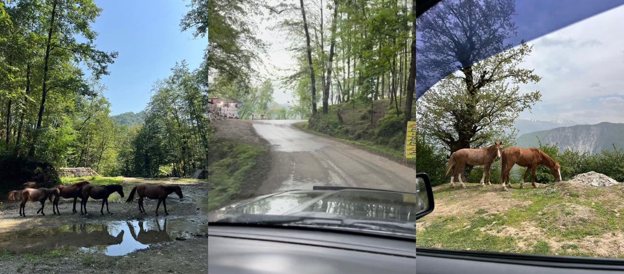 سهیل تور مجری طبیعت گردی و آفرود رامسر