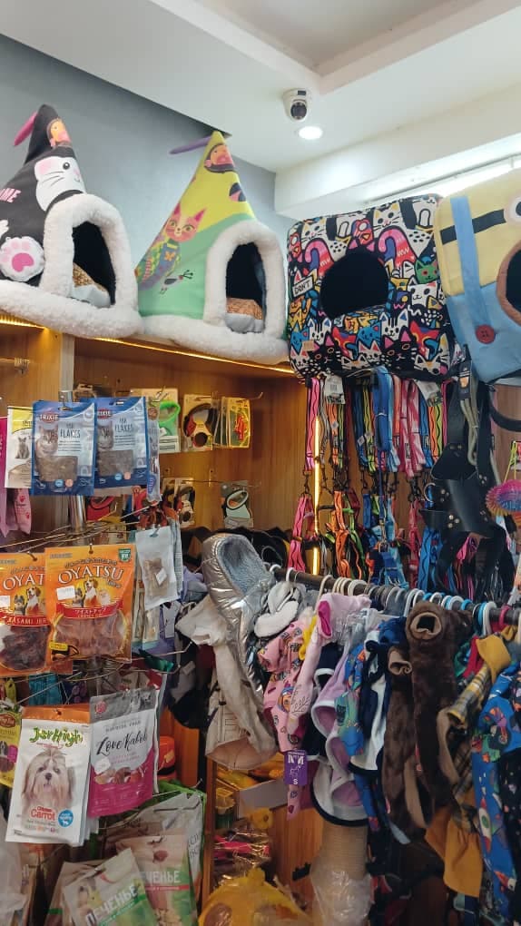 پت شاپ و پانسیون پتی در رشت