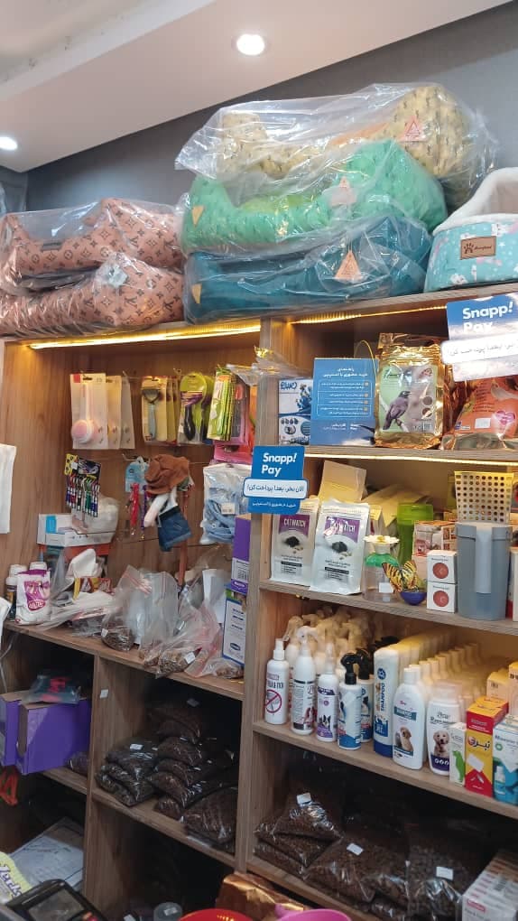 پت شاپ و پانسیون پتی در رشت