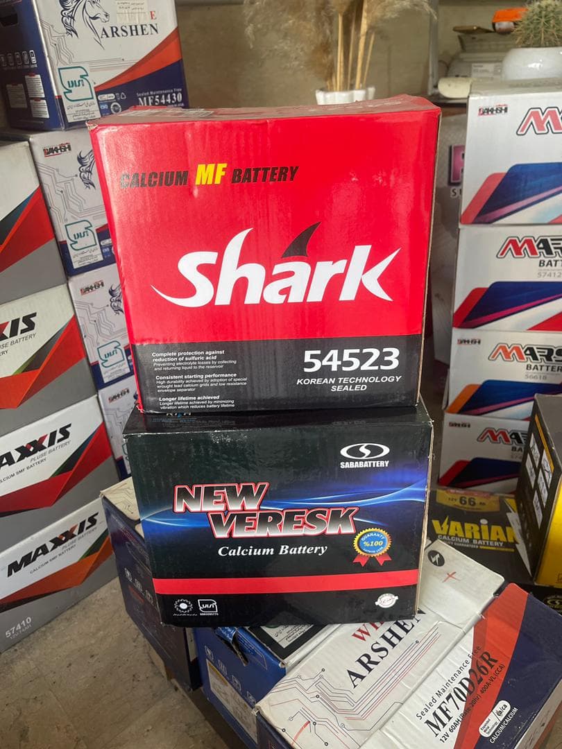 فروش و نصب و عیب یابی باطری ماشین بیرقیان در چالوس