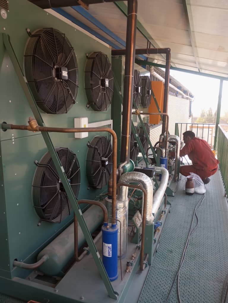 نصب و تعمیر سردخانه و تونل انجماد دنیا سرویس در مشهد خراسان رضوی