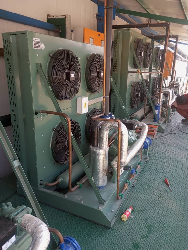 نصب و تعمیر سردخانه و تونل انجماد دنیا سرویس در مشهد خراسان رضوی