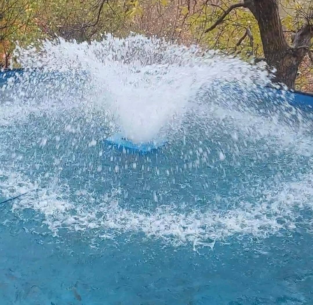 پرورش و فروش ماهی قزل آلا و سالمون یاقوت در زیاران