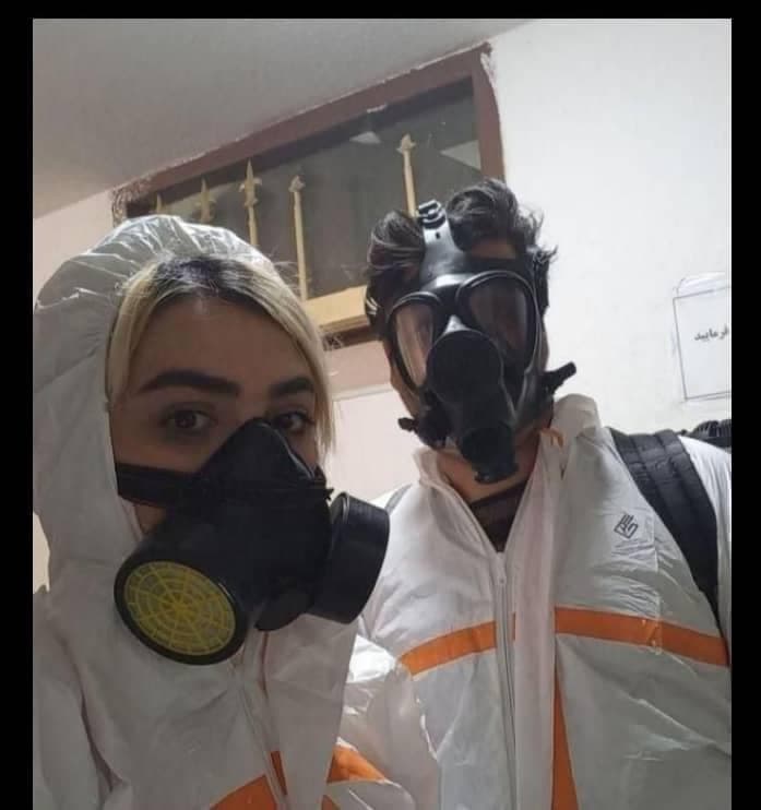 سم پاشی تضمینی دفع حشرات شرکت رنگین دشت جنوب در بوشهر