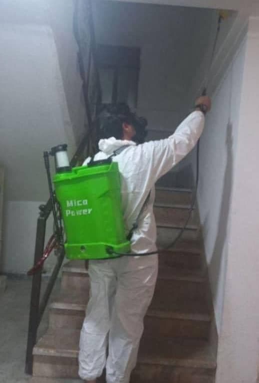 سم پاشی تضمینی دفع حشرات شرکت رنگین دشت جنوب در بوشهر