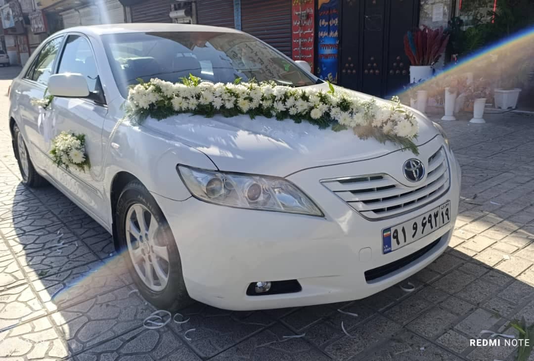 گلکده یاس سفید در کرمانشاه