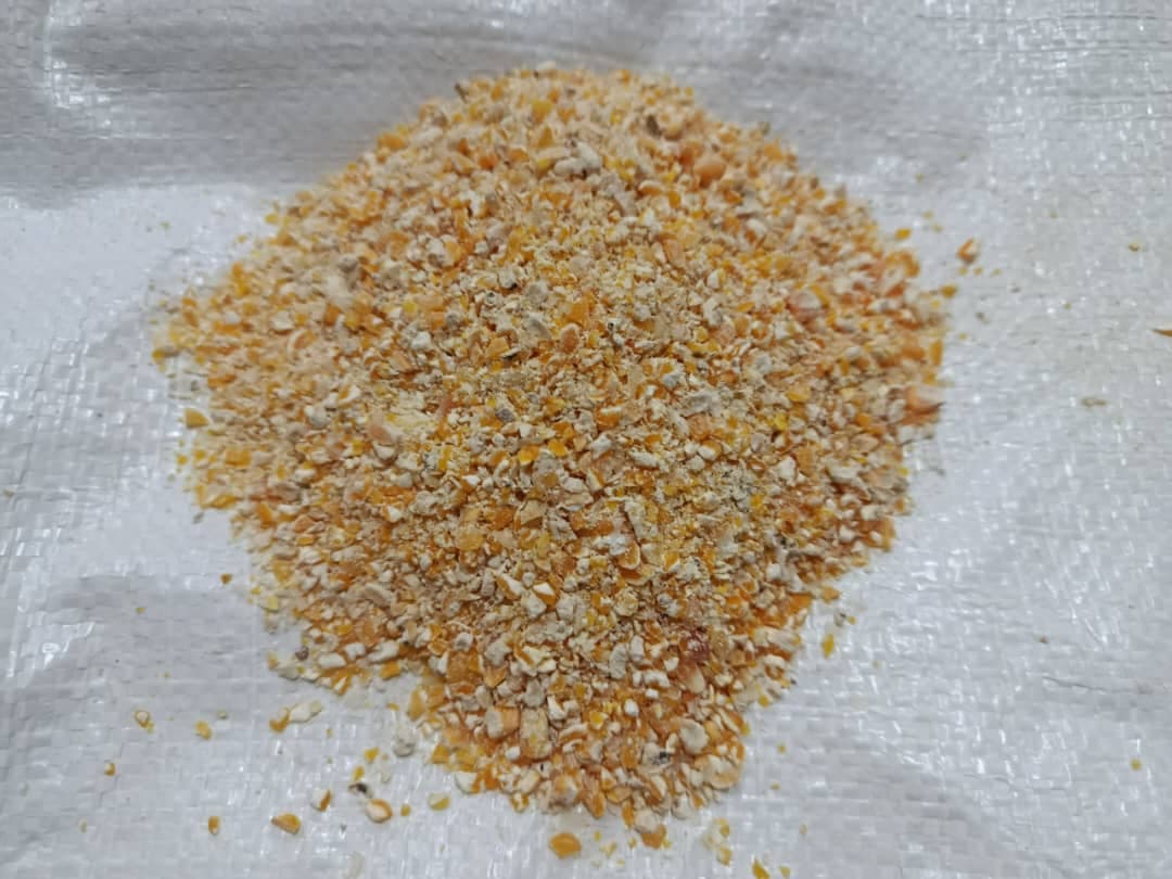 تولید و فروش خوراک دام و طیور پاک دانه بیستون در کرمانشاه