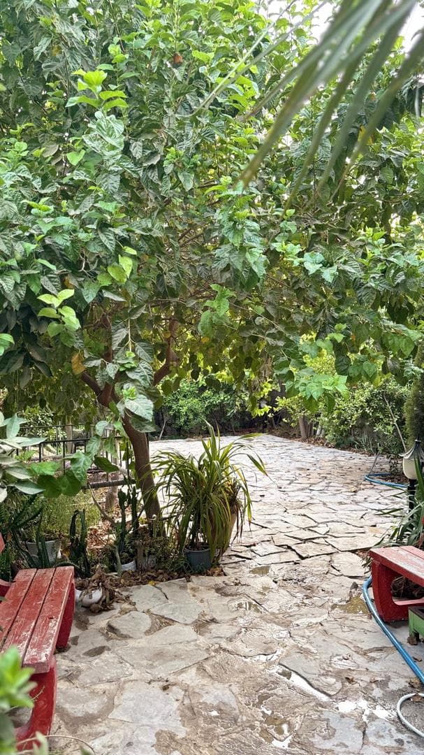 اجاره ویلا باغ استخر آب گرم زری پور در بهبهان