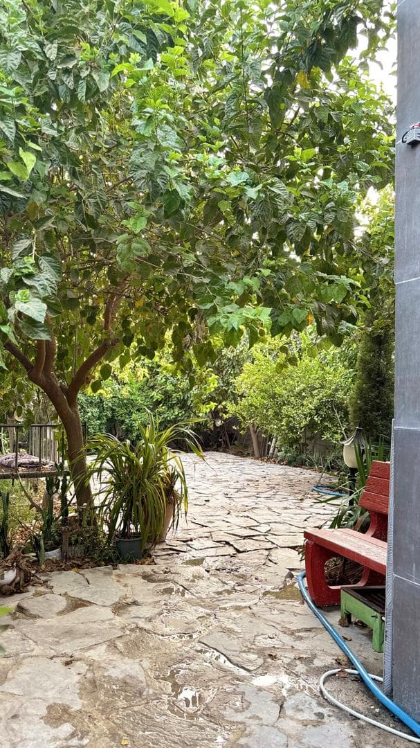 اجاره ویلا باغ استخر آب گرم زری پور در بهبهان