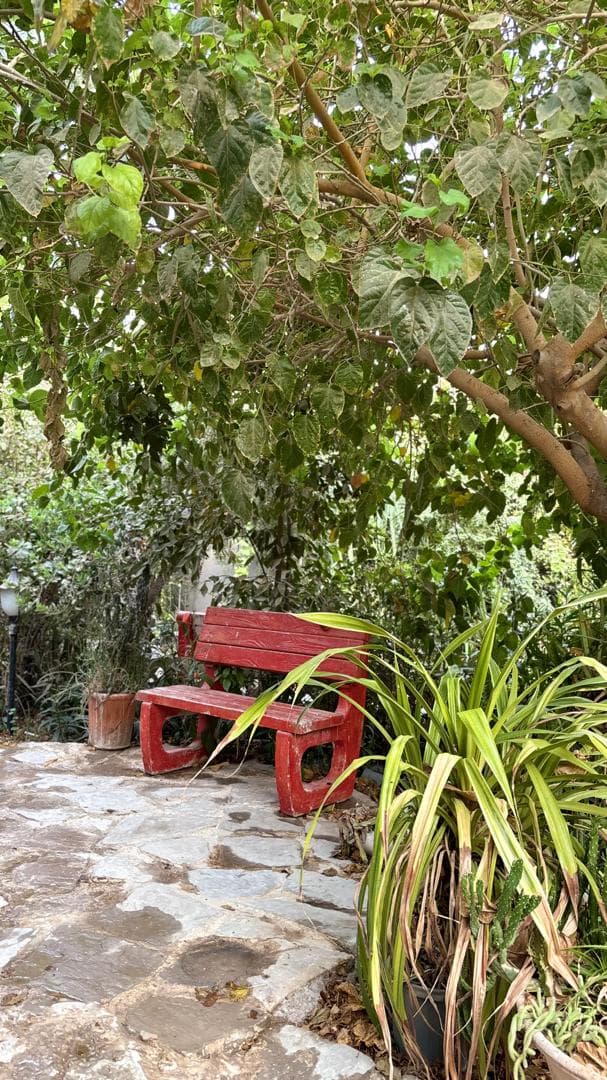 اجاره ویلا باغ استخر آب گرم زری پور در بهبهان