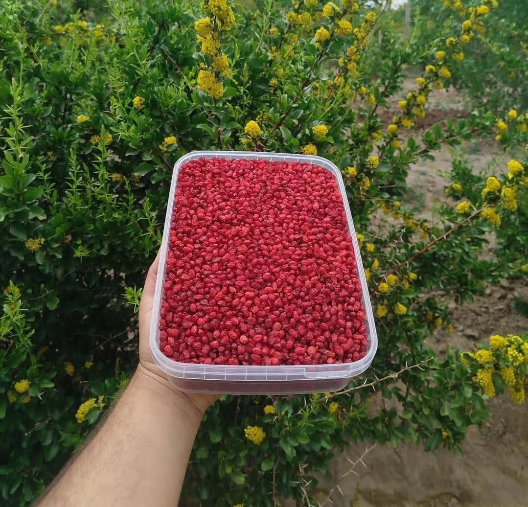 بازرگانی فروش زرشک و زعفران پردل در قاین