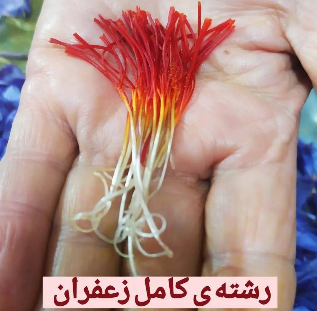 بازرگانی فروش زرشک و زعفران پردل در قاین