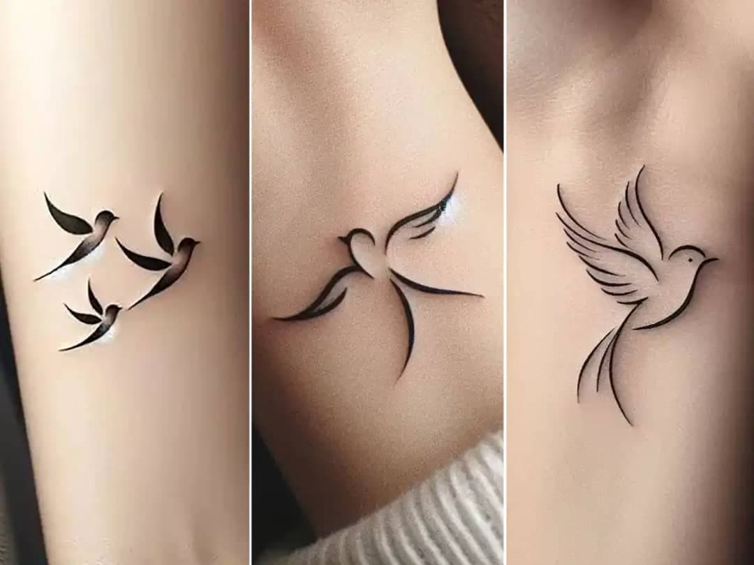 ثبت تتو مهدی عمارلو در نیشابور