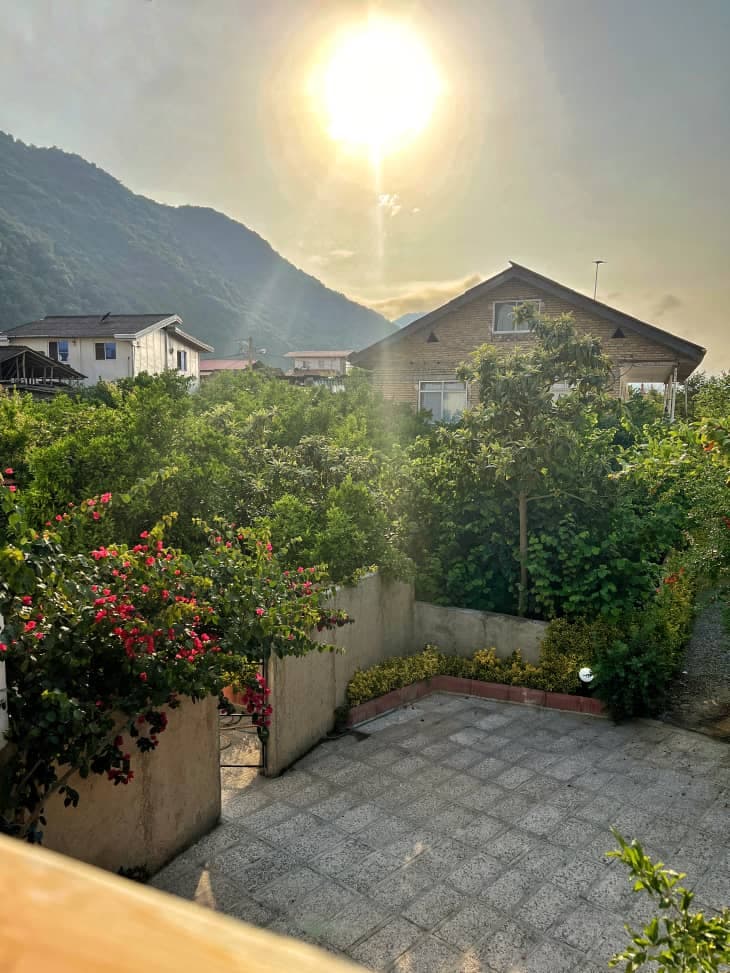 اجاره ویلا کلبه سوئیسی بمدیریت خانم علیپور در رامسر