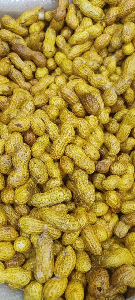 تولید و فروش عمده بادام زمینی و تخمه کارگاه بابامیری در بوکان