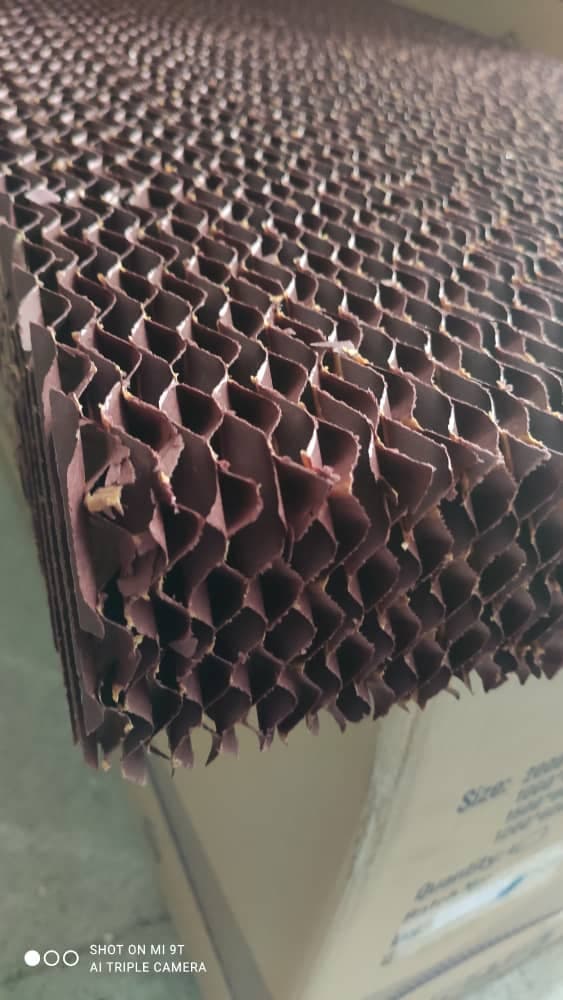 فروش پد سلولزی نمایندگی رسمی کولان سل خواجوی در دزفول