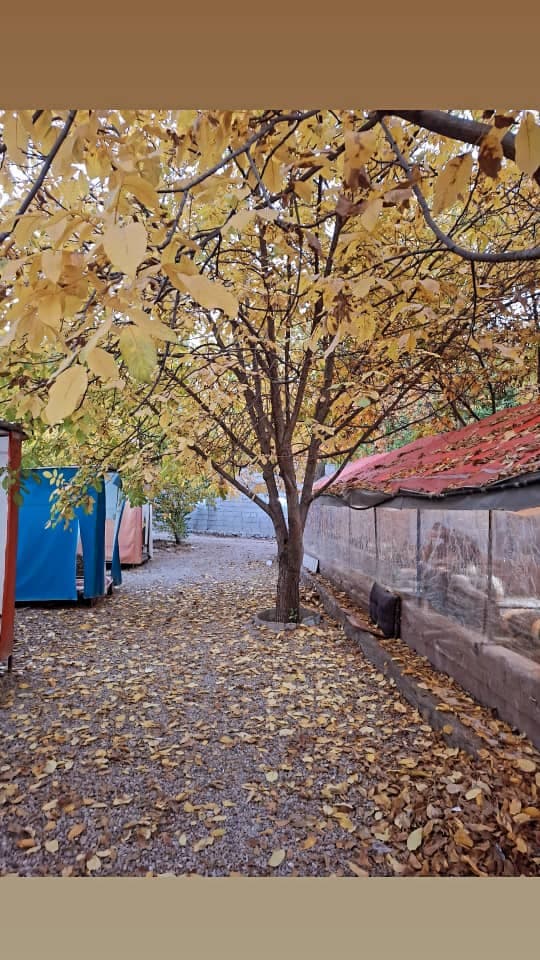 باغ سنتی دلگشا در جاده آبشار یاسوج