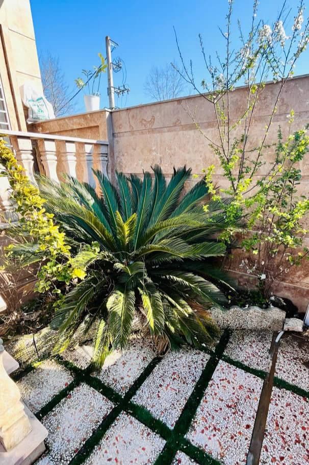 اجاره ویلای شبانه اکبری در محمودآباد