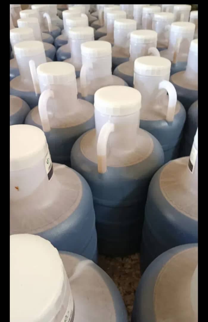 پخش خشکبار حشمتی در شهرکرد