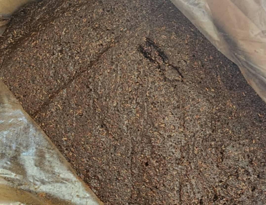 پخش خشکبار حشمتی در شهرکرد