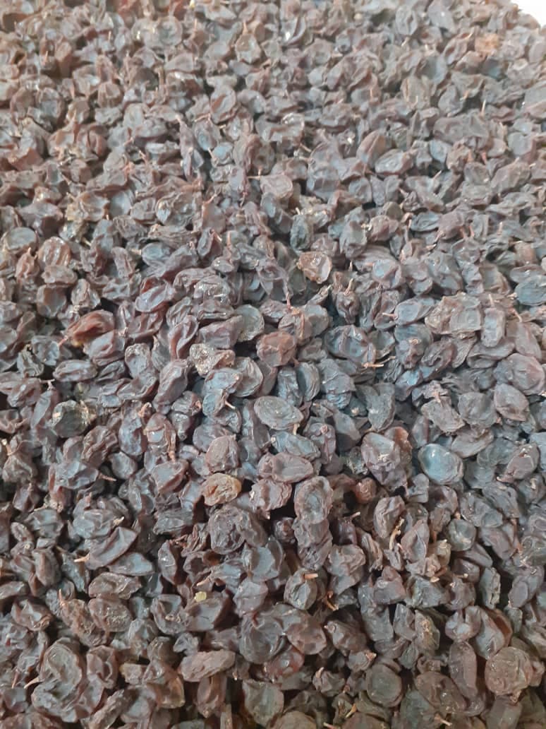 پخش خشکبار حشمتی در شهرکرد