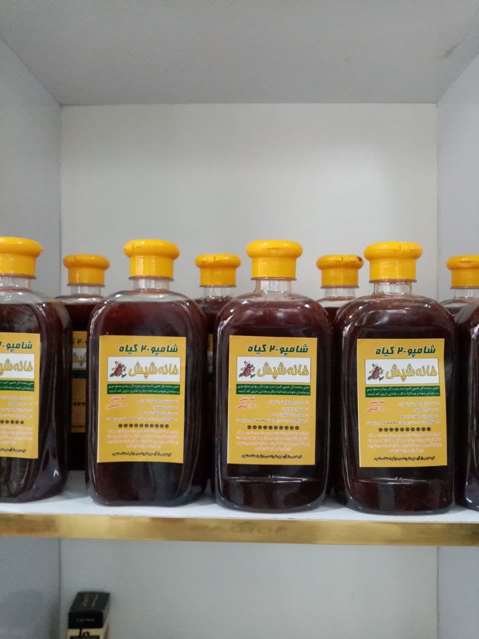 پاکسازی و درمان شپش خانه شپش در مشهد