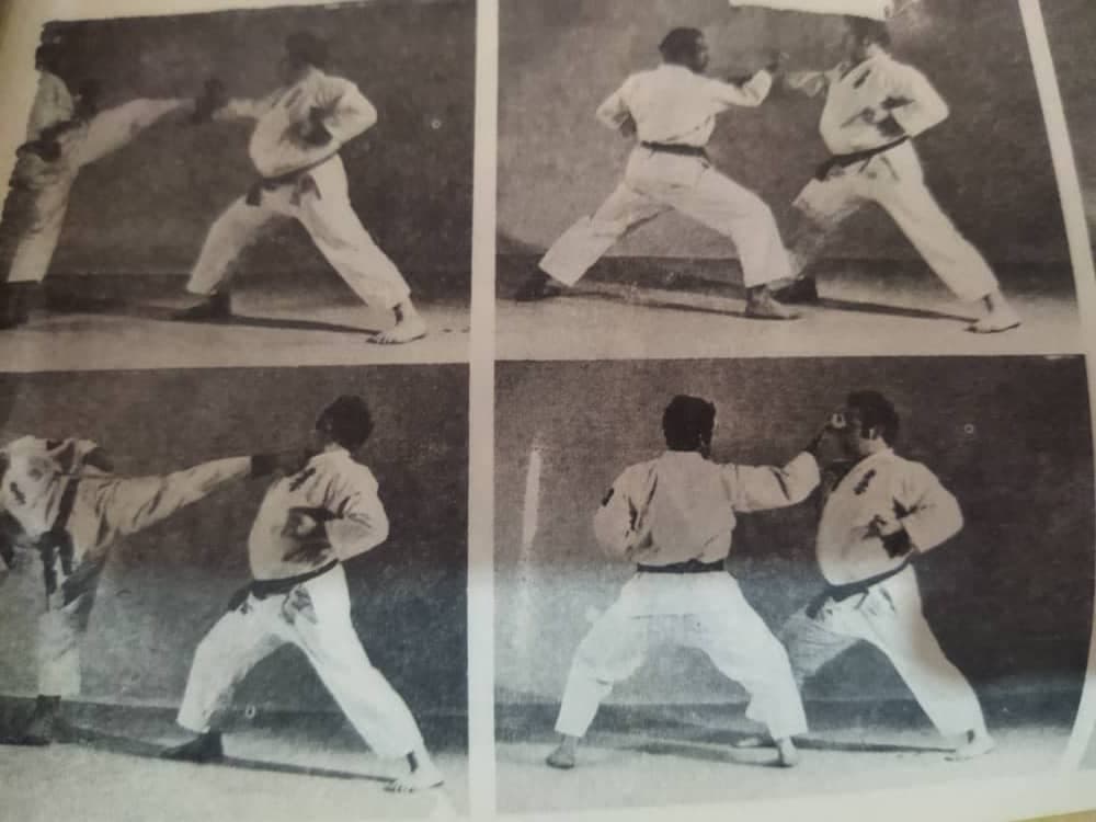 آموزش هنرهای رزمی ترکیبی و سبکی حمزه شیران پاپی در دزفول