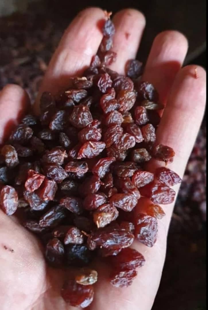 پخش و فروش عمده کشمش و مویز حشمتی در شهرکرد