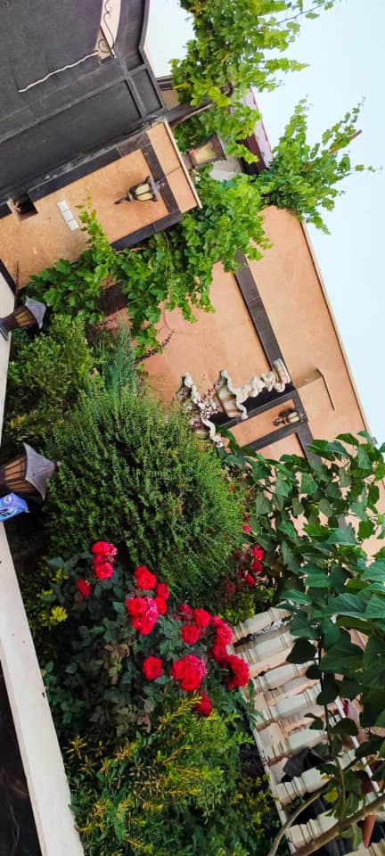 اجاره ویلا شاهان در کرج