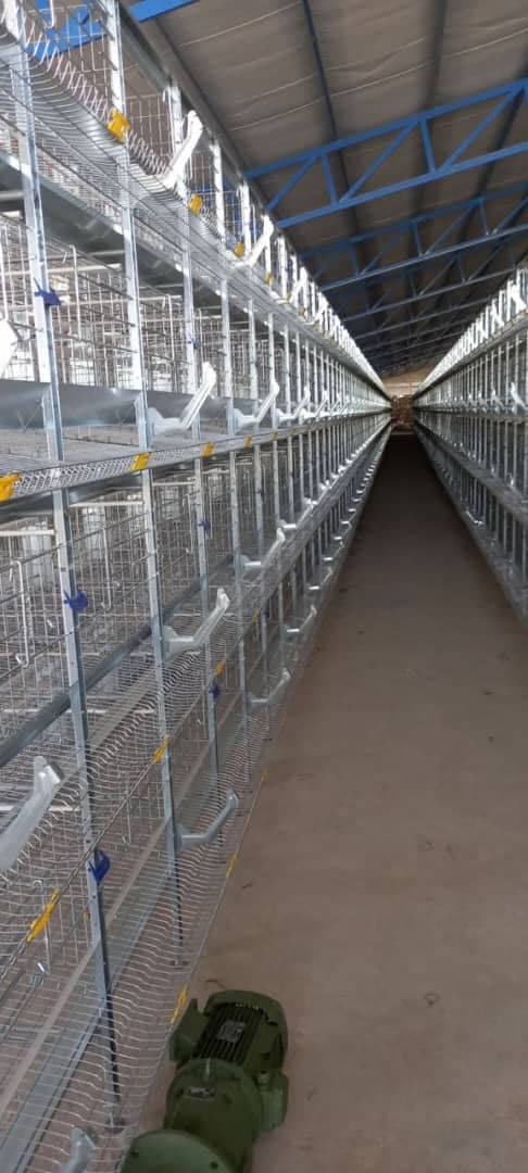 خرید و فروش تجهیزات دام و طیور میکاندام طیور سیمرغ در قزوین