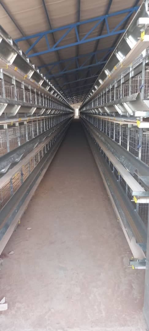 خرید و فروش تجهیزات دام و طیور میکاندام طیور سیمرغ در قزوین