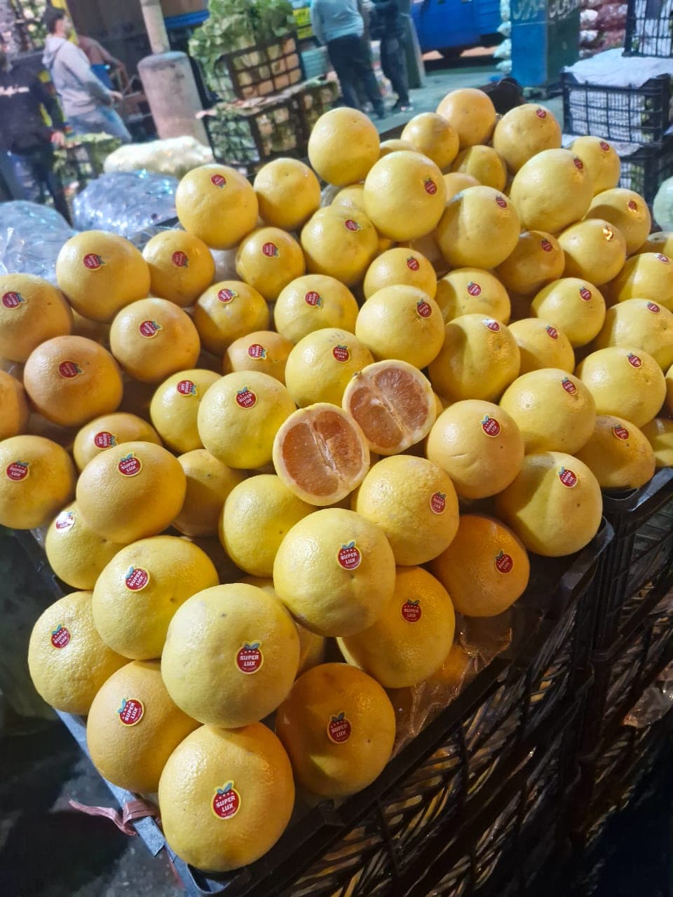 حجره بار فروشی حاج نادر مغانلو فروش میوه های لوکس در میدان تره بار تهران