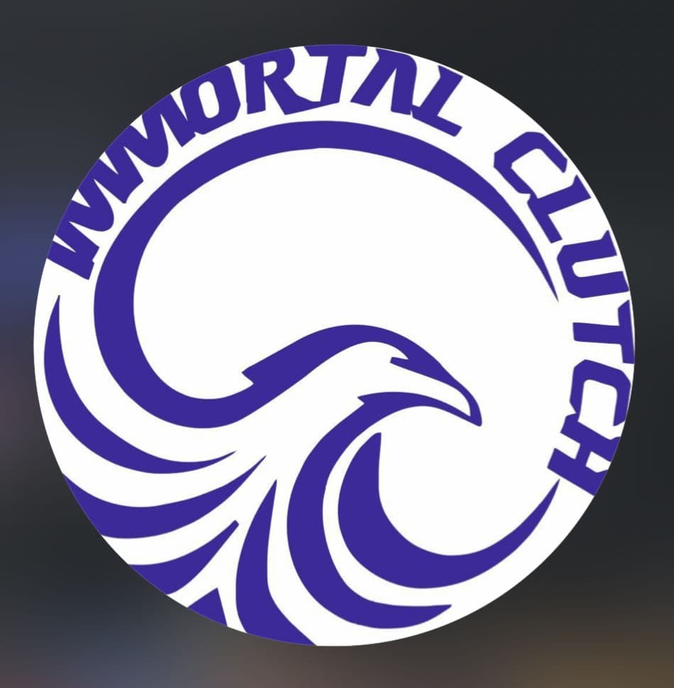 فروش و خدمات کلاچ برقی و فرمان برقی کنترل کروز ایمورتال در شیراز