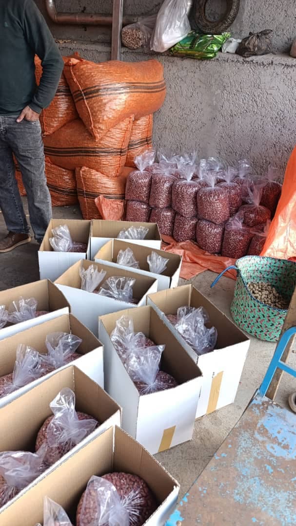 تولید و فرآوری بادام زمینی و کره نادر در مغان اردبیل