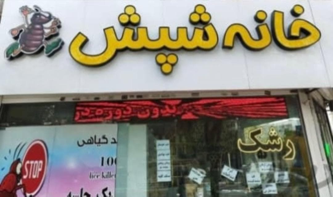 پاکسازی و درمان شپش خانه شپش در مشهد