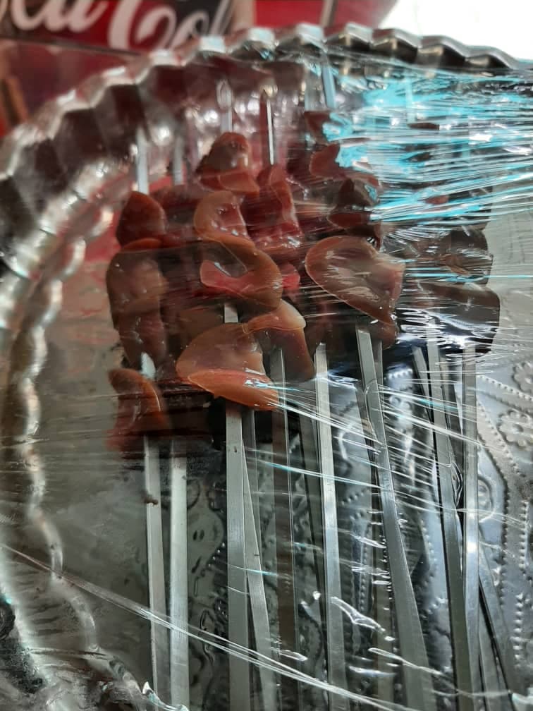 جگرسرای امیر در خلیج فارس اهواز