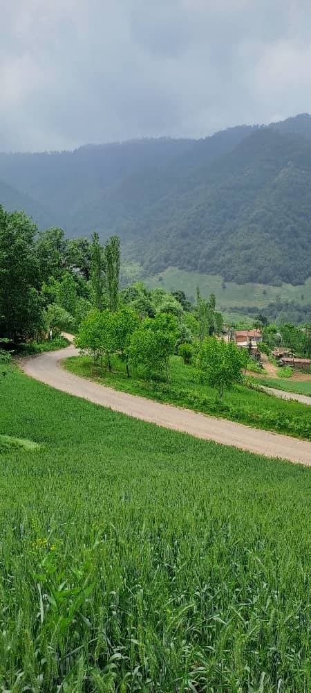 اقامتگاه خاطره در مینودشت