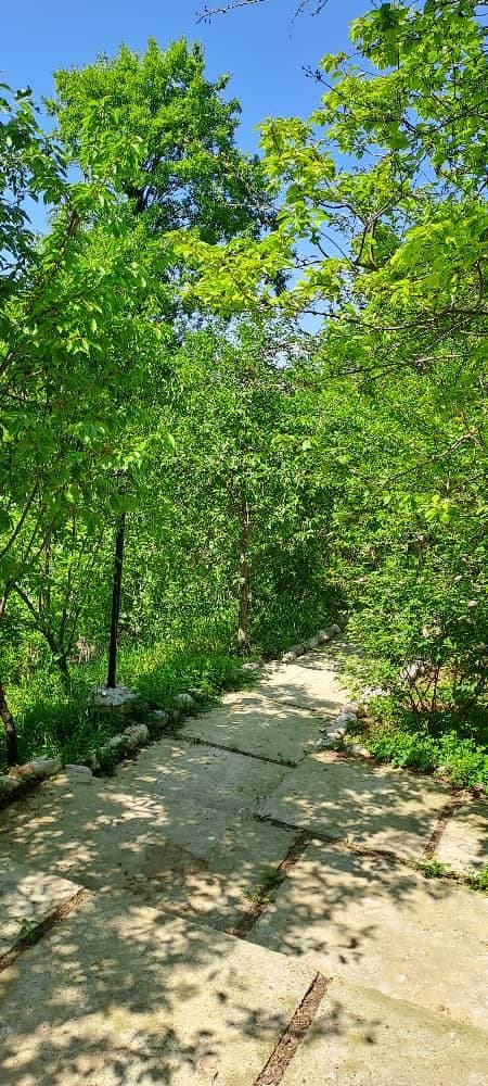 اقامتگاه خاطره در مینودشت