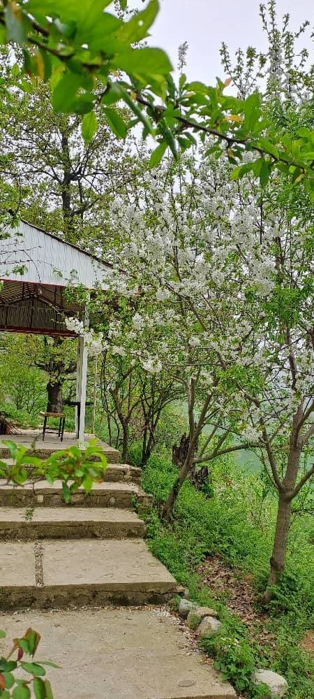 اقامتگاه خاطره در مینودشت