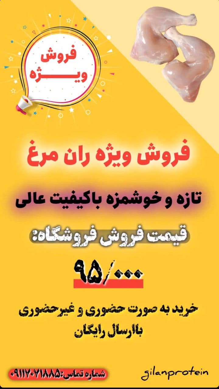 گیلان پروتئین نوپور در رشت