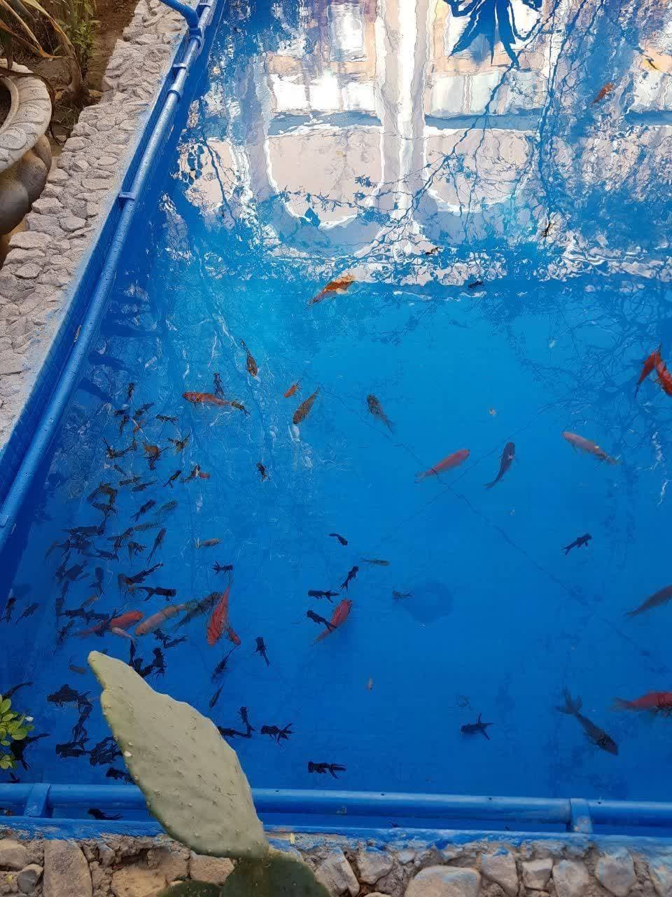 اقامتگاه سنتی 200 ساله دوکاج در یزد