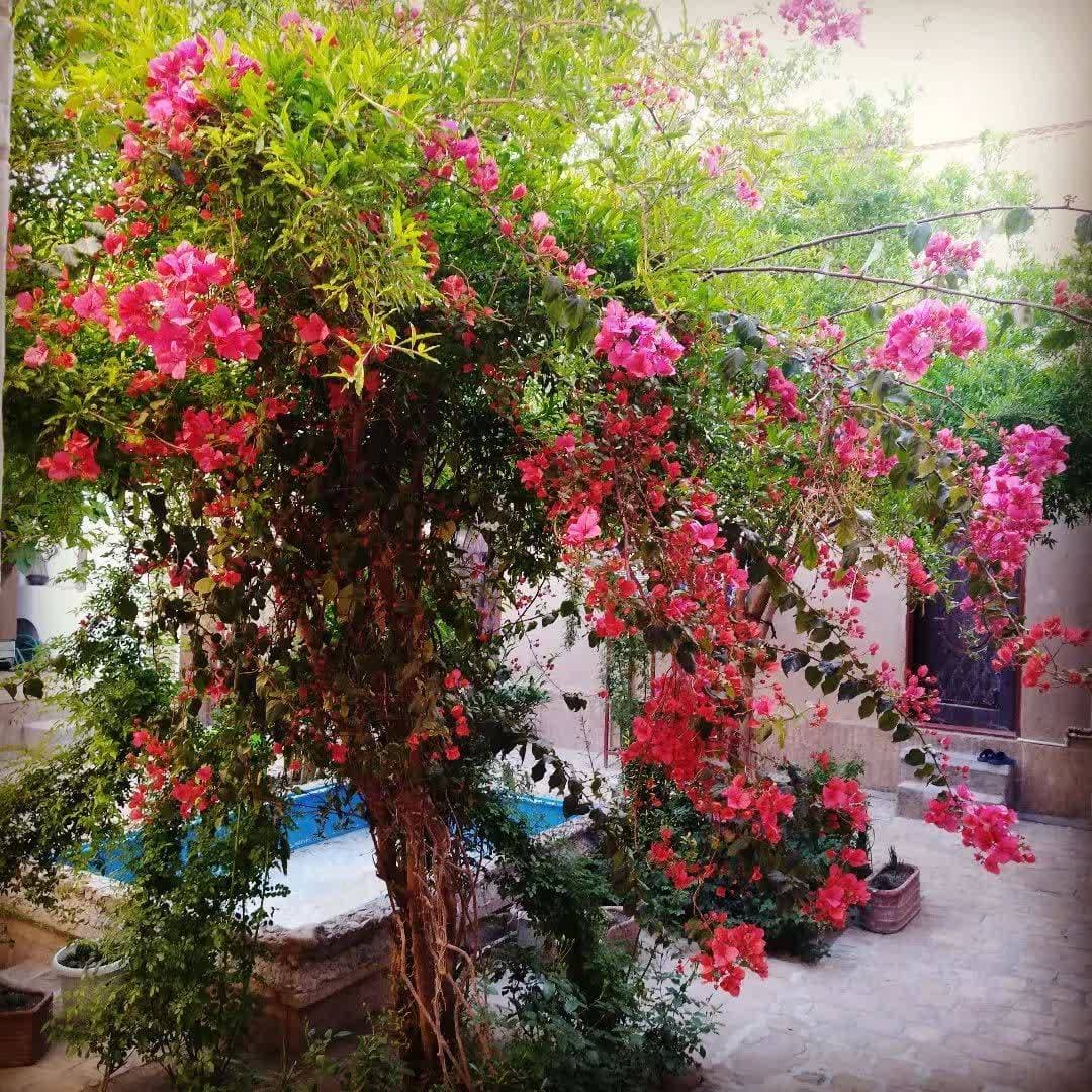 اقامتگاه سنتی 200 ساله دوکاج در یزد